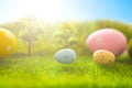 Decorated easter eggs in green grass on sunset sky background. Royalty Free Stock Photo
