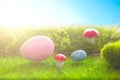 Decorated easter eggs in green grass on sunset sky background. Royalty Free Stock Photo