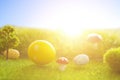 Decorated easter eggs in green grass on sunset sky background. Royalty Free Stock Photo
