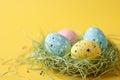 Decorated Easter eggs in nest on yellow background, top view. Composition with empty place for text Royalty Free Stock Photo
