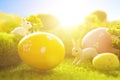 Decorated easter eggs with easter rabbit on grass over sky background. Happy Easter Royalty Free Stock Photo