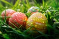 Decorated Easter eggs rest in fresh green grass, adorned with dew drops that glisten in the sunlight, evoking a festive Royalty Free Stock Photo