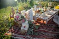 Decorated elegant wooden table in rustic style with eucalyptus and flowers, porcelain plates, glasses, napkins and cutlery Royalty Free Stock Photo