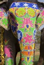Decorated elephant Royalty Free Stock Photo
