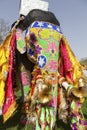 The decorated elephant. Royalty Free Stock Photo