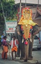 Decorated elephant Royalty Free Stock Photo