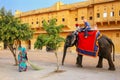 Decorated elephant with tourist walking in Jaleb Chowk main cou