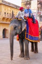 Decorated elephant with tourist walking in Jaleb Chowk main cou
