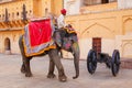 Decorated elephant walking in Jaleb Chowk main courtyard in Am