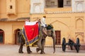 Decorated elephant walking in Jaleb Chowk main courtyard in Am