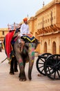 Decorated elephant walking in Jaleb Chowk main courtyard in Am