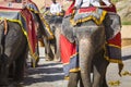 Decorated elephants in Jaleb Chowk in Amber Fort in Jaipur, Indi