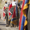 Decorated elephants in Jaleb Chowk in Amber Fort in Jaipur, India.