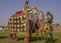 Elephant Festival in Jaipur, India