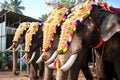 Decorated elephants for parade Royalty Free Stock Photo