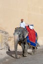 Decorated elephants ride tourists on Amber Fort in Jaipur, Rajasthan, India
