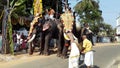 Feeding Decorated Elephants