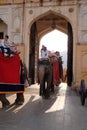 Decorated elephants waiting tourists at Amber Fort in Jaipur