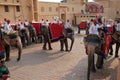 Decorated elephants waiting tourists at Amber Fort in Jaipur