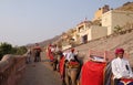 Decorated elephants waiting tourists at Amber Fort in Jaipur