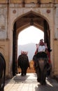 Decorated elephants waiting tourists at Amber Fort in Jaipur