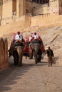 Decorated elephants waiting tourists at Amber Fort in Jaipur