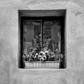 A faÃ§ade with window and flowers Transylvania Romania