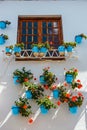 Decorated facade of house with flowers in blue pots