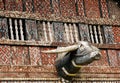 Decorated facade of the traditional house of people living in the region Tana Toraja on the Indonesian Sulawesi island Royalty Free Stock Photo