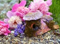 Decorated fairy cottage with shell roof and peony flowers