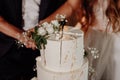 Decorated by flowers white naked cake, rustic style for weddings, birthdays and events. Royalty Free Stock Photo