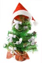 Decorated fur-tree with Christmas cap, isolated Royalty Free Stock Photo