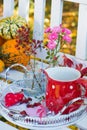 Decorated garden bench in the autumn garden