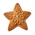 Decorated Gingerbread Star Cookie Isolated on White Background Royalty Free Stock Photo