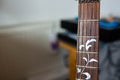 Decorated guitar neck close up shot, shallow depth of field Royalty Free Stock Photo