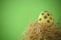 Decorated handpainted yellow floral Easter egg in a straw nest against bright yellow background with copy space