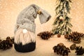 Decorated handmade gnome with pine cones on the snowy background
