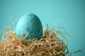 Decorated handpainted mint blue glitter Easter egg in a straw nest on turquoise teal background with copy space