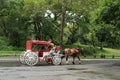 A Decorated Horse and Carriage in Central Park, New York