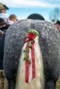 Decorated horse tail ready to perform at leonhardi parade Royalty Free Stock Photo