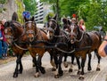 Decorated horse team at a parade in Garmisch-Partenkirchen, Garmisch-Partenkirchen, Germany - May 20.