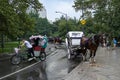 Decorated Horses, Carriages and Bicycle in Central Park, New York