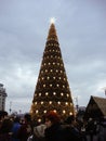 Decorated huge Christmas tree, lights, decorations, hot wine, hot chocolate, presents and people wandering at the Christmas market