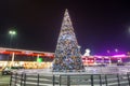 Decorated illuminating Christmas tree