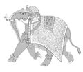 Decorated indian elephant Royalty Free Stock Photo