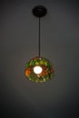 Decorated Lamps Ceiling light