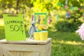 Decorated lemonade stand in park. Refreshing natural drink
