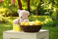 Decorated lemonade stand in park. Summer refreshing drink