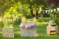 Decorated lemonade stand. Summer refreshing natural drink