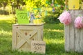 Decorated lemonade stand. Summer refreshing natural drink